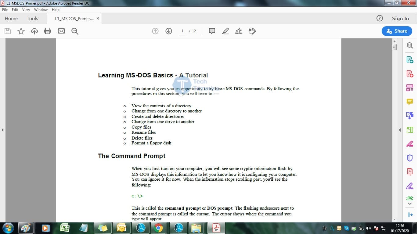 PDF with Watermark