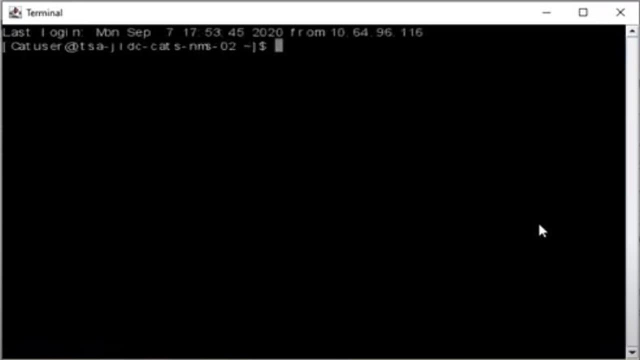 Terminal Emulator