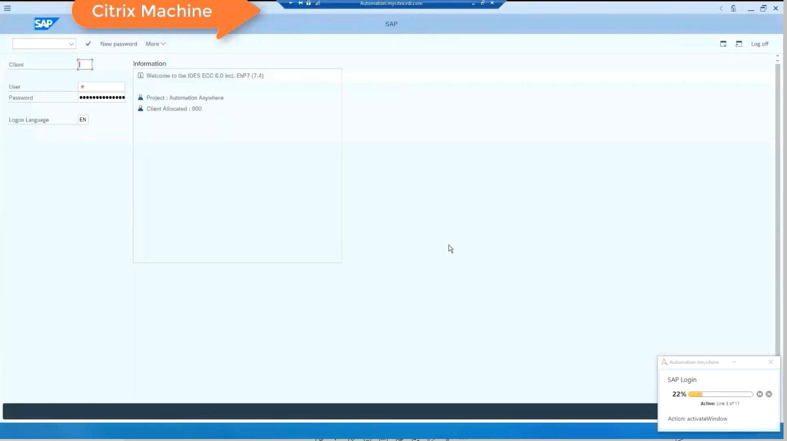 Logging to SAP inside citrix machine