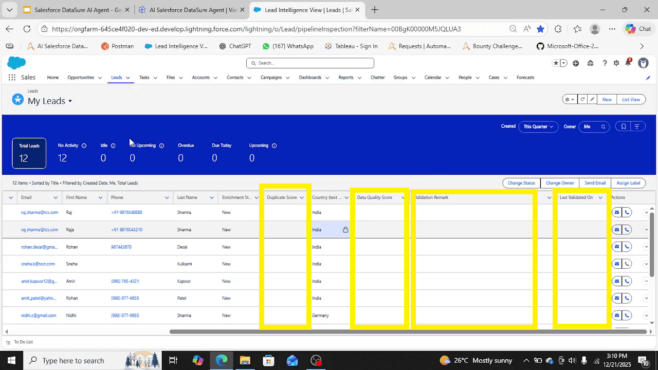 Salesforce Leads before performing validations